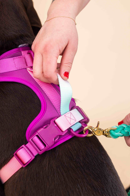 Joana dog harness — additional photo 8