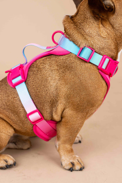 Stasia dog harness — additional photo 9
