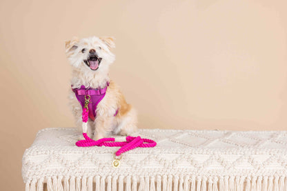 Joana dog harness — additional photo 9