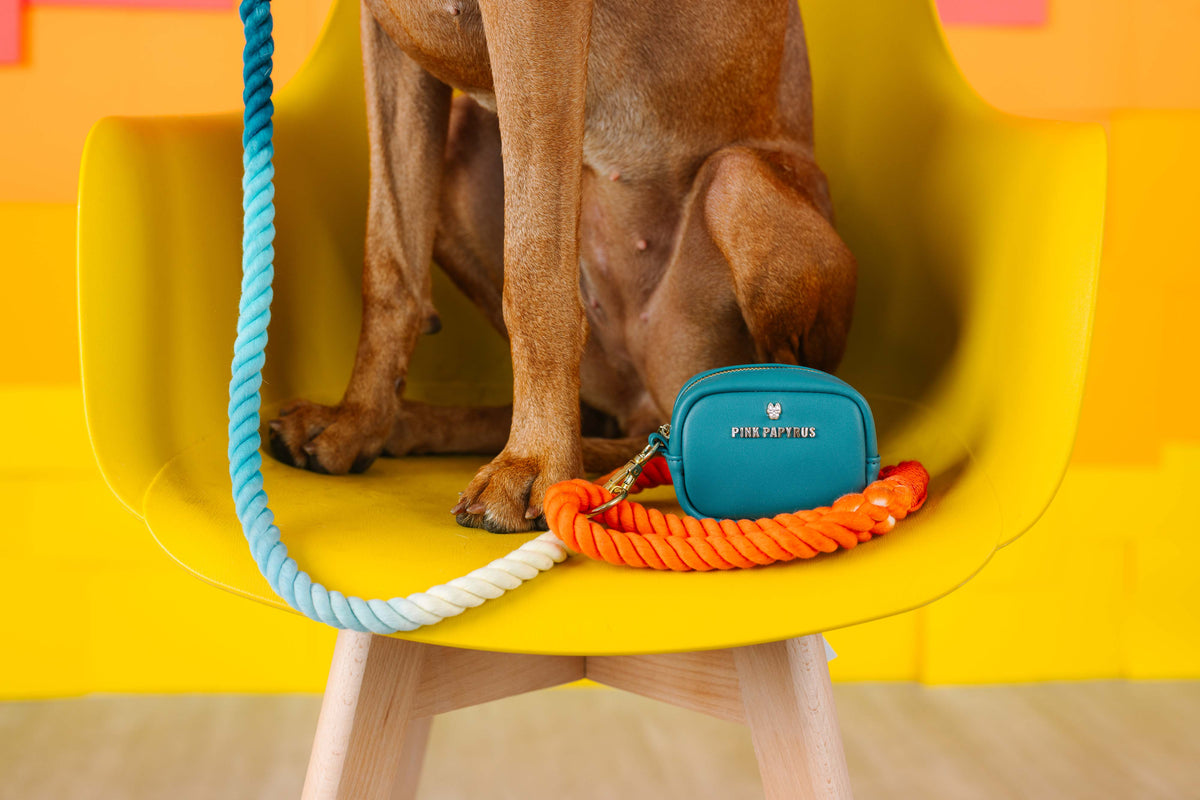 Dario treat pouch and poop bag holder — additional photo 10