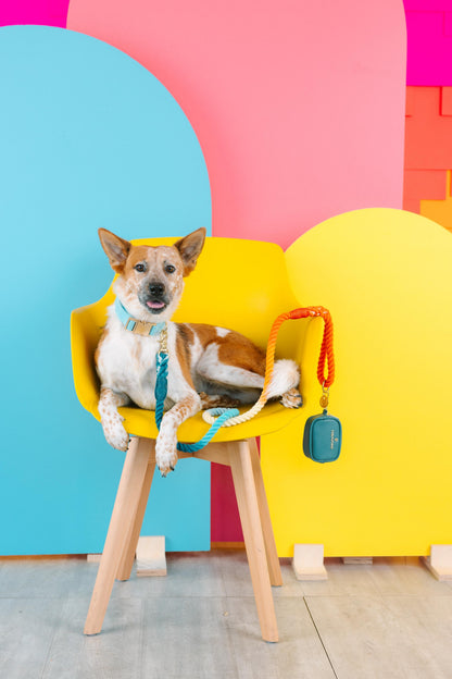 Dario treat pouch and poop bag holder — additional photo 4