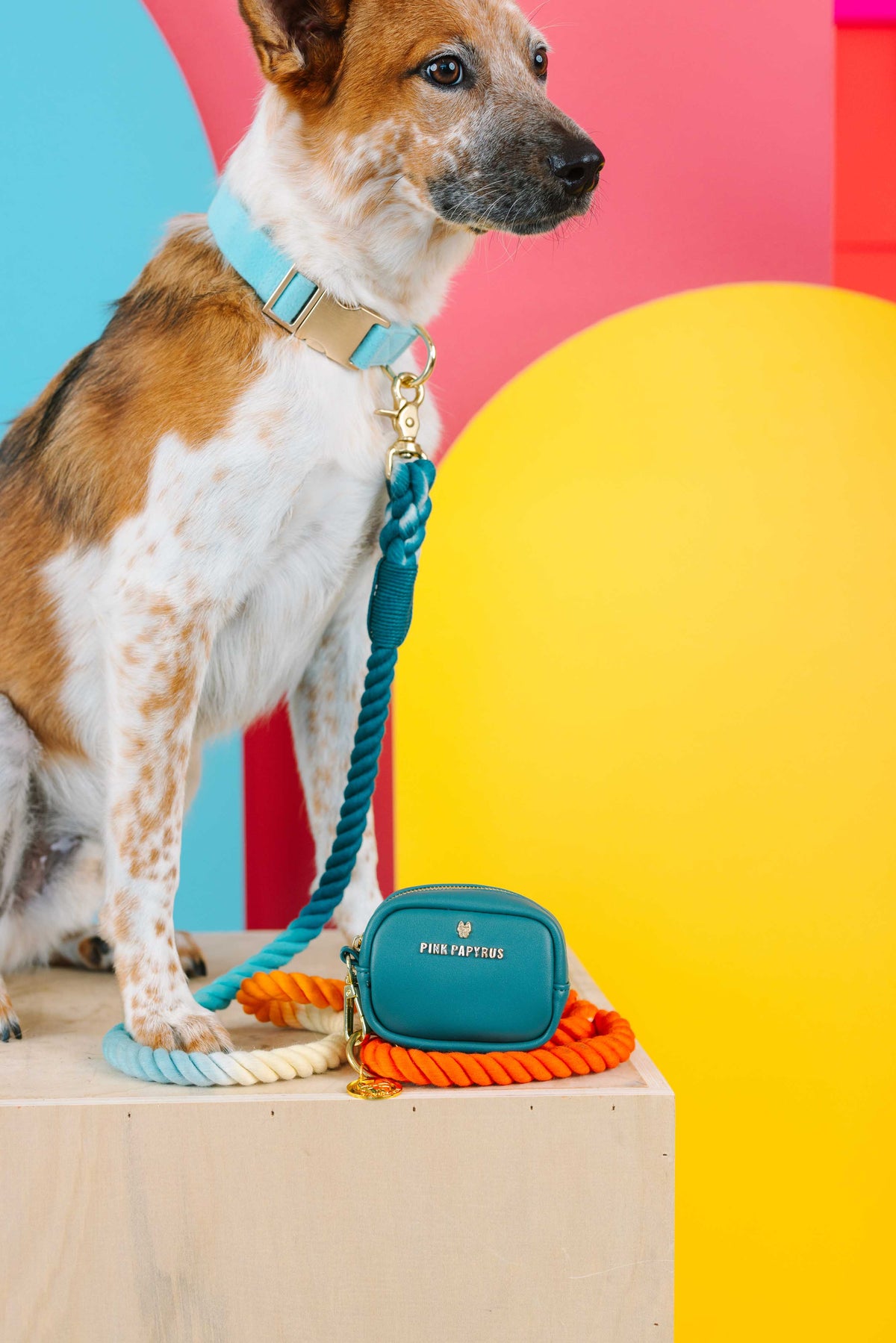 Dario treat pouch and poop bag holder — additional photo 5