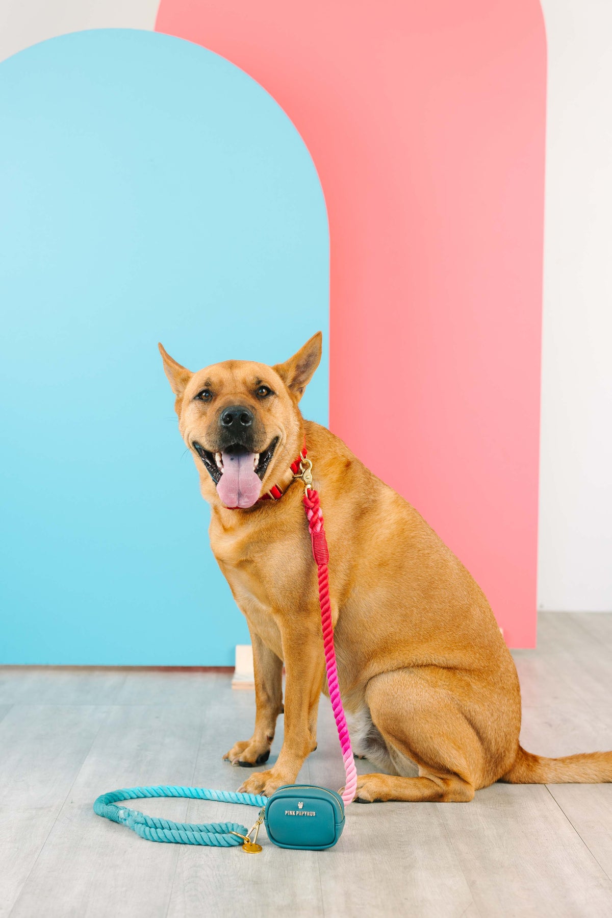 Micah rope dog leash — additional photo 2
