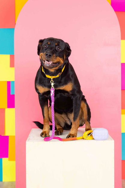 Ava treat pouch and poop bag holder — additional photo 8