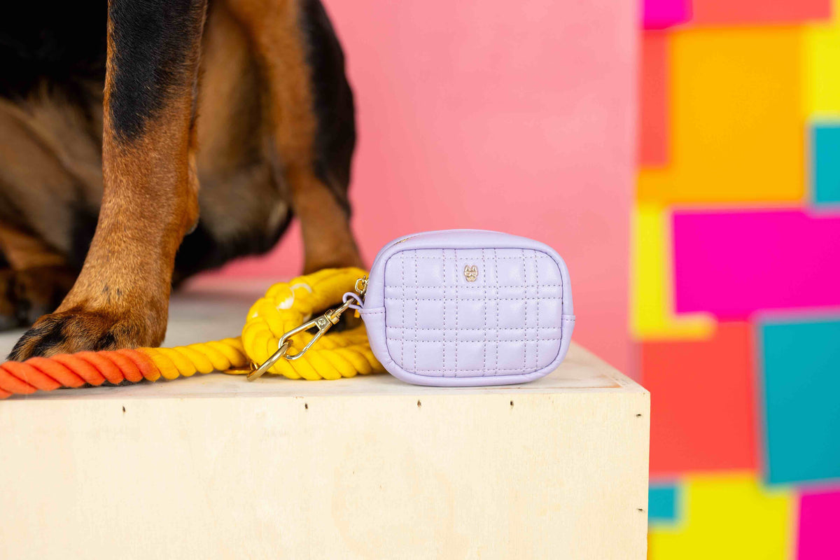 Ava treat pouch and poop bag holder — additional photo 7