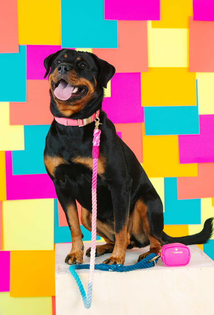 Maddox rope dog leash — additional photo 5