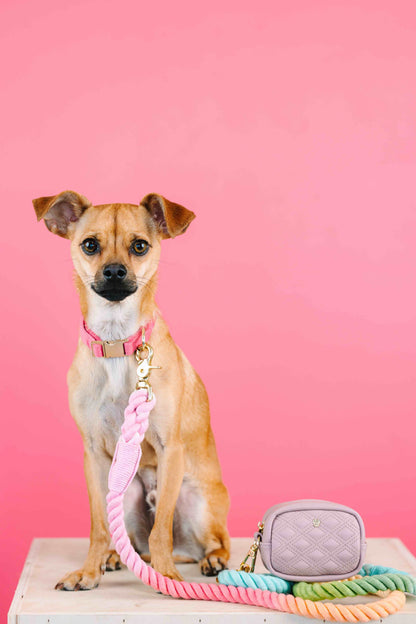 Willow treat pouch and poop bag holder — additional photo 5