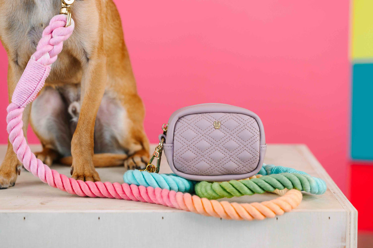 Willow treat pouch and poop bag holder — additional photo 4