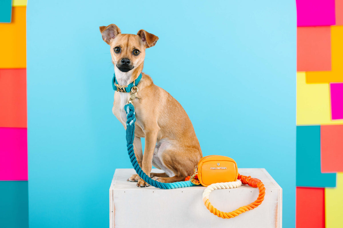 Keanu treat pouch and poop bag holder — additional photo 7