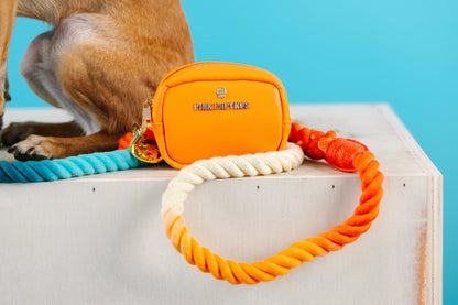 Beau rope dog leash — additional photo 8