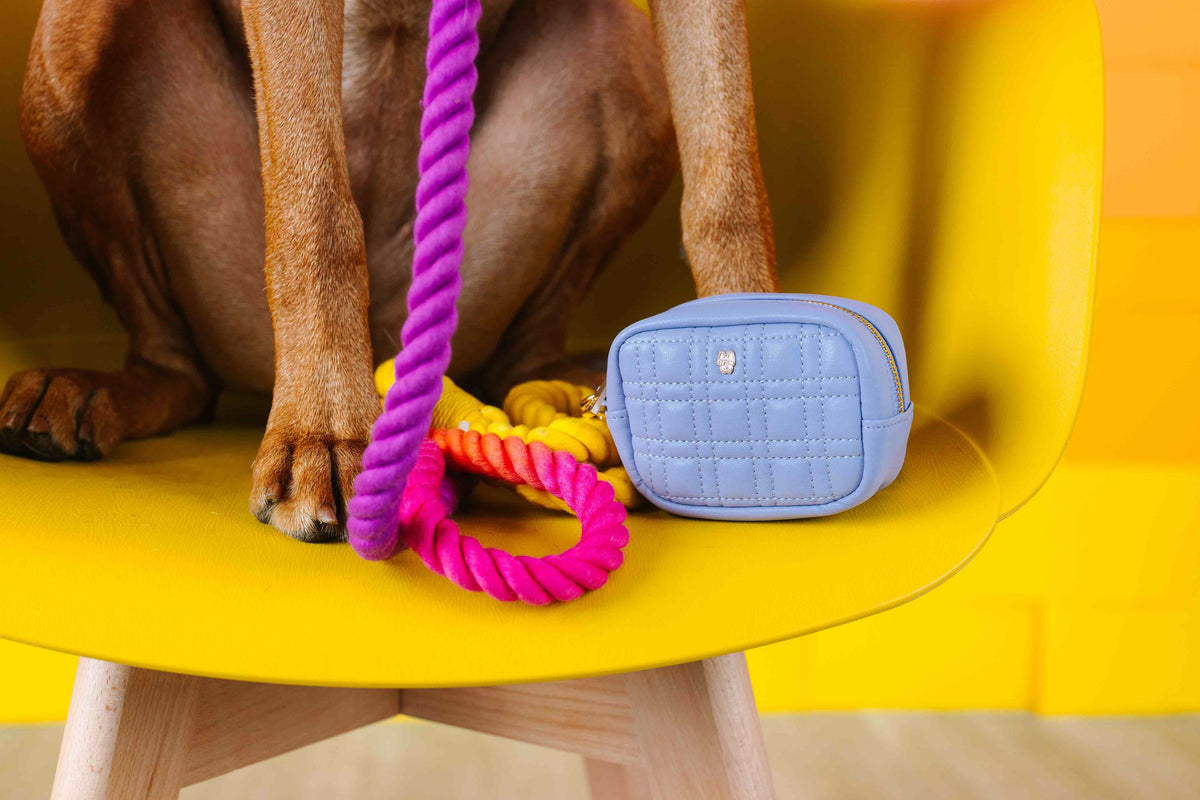 Ava treat pouch and poop bag holder — additional photo 5