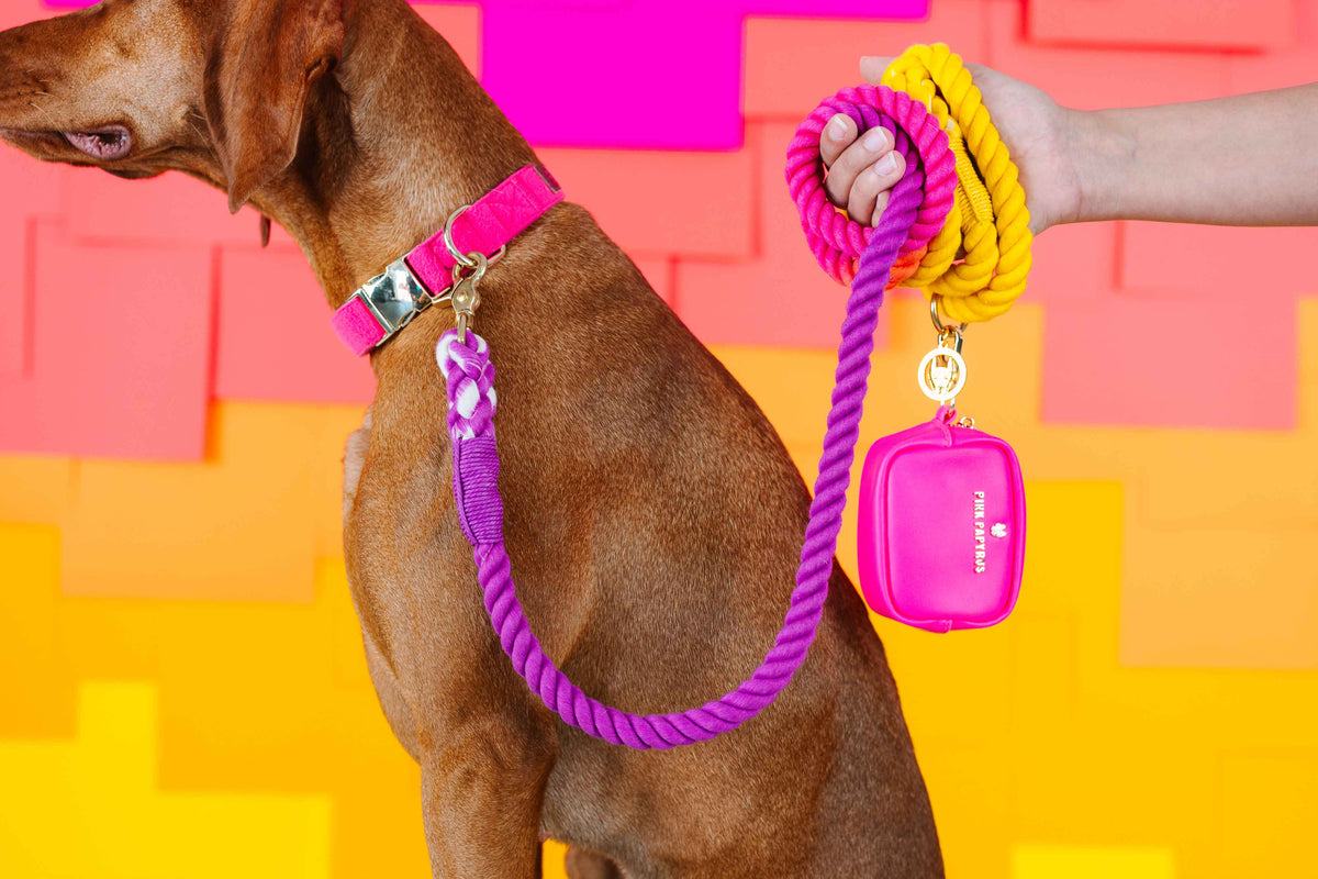 Roxy rope dog leash — additional photo 8