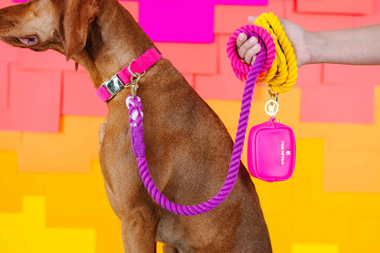 Roxy rope dog leash — additional photo 8