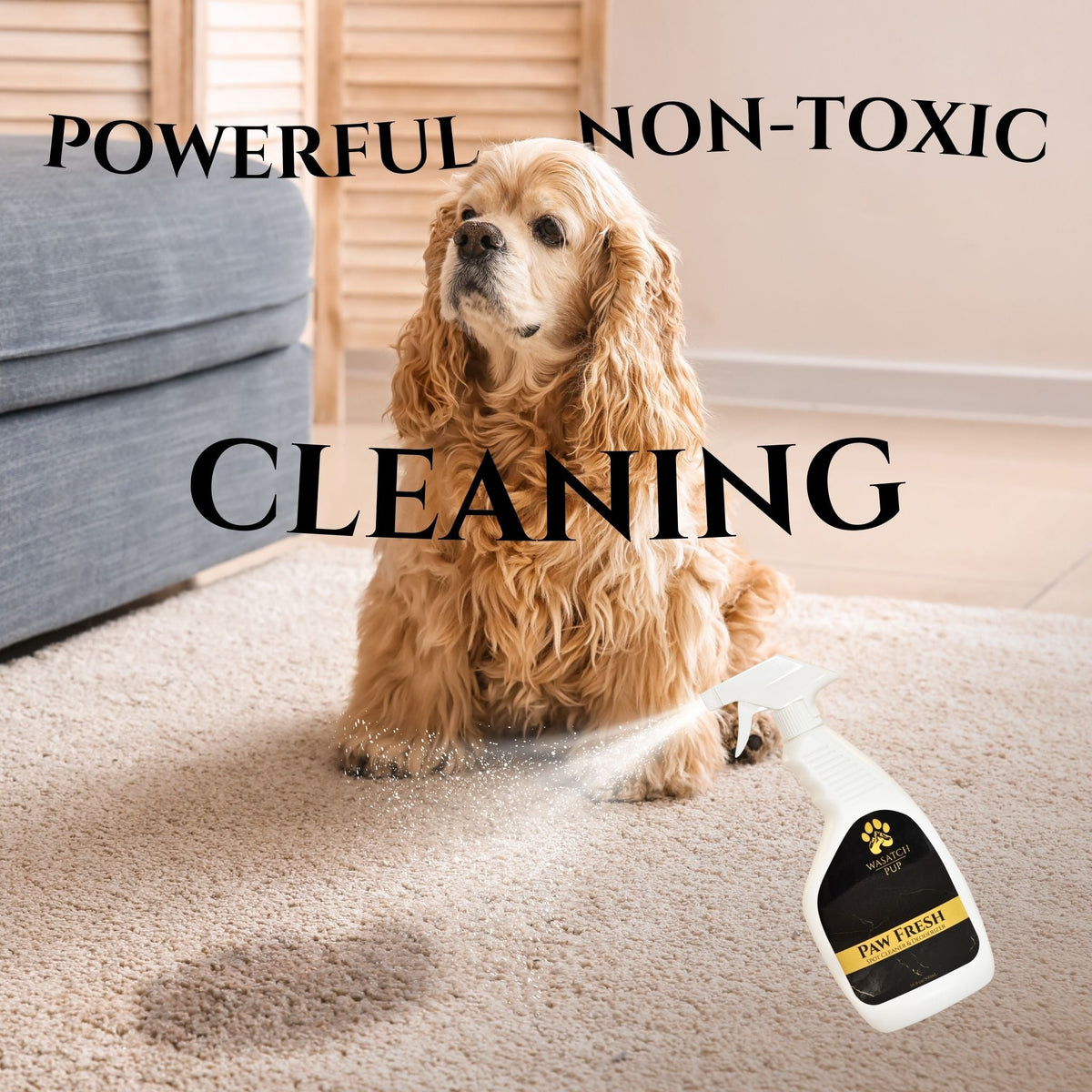 Paw Fresh | Spot Cleaner & Deodorizer
