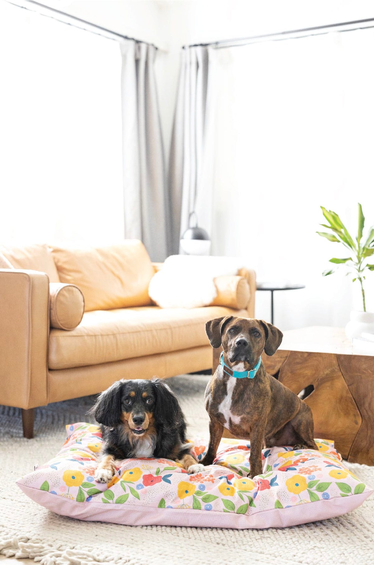 Penelope dog bed — additional photo 4