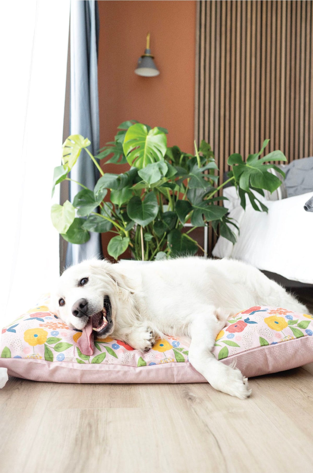 Penelope dog bed — additional photo 5