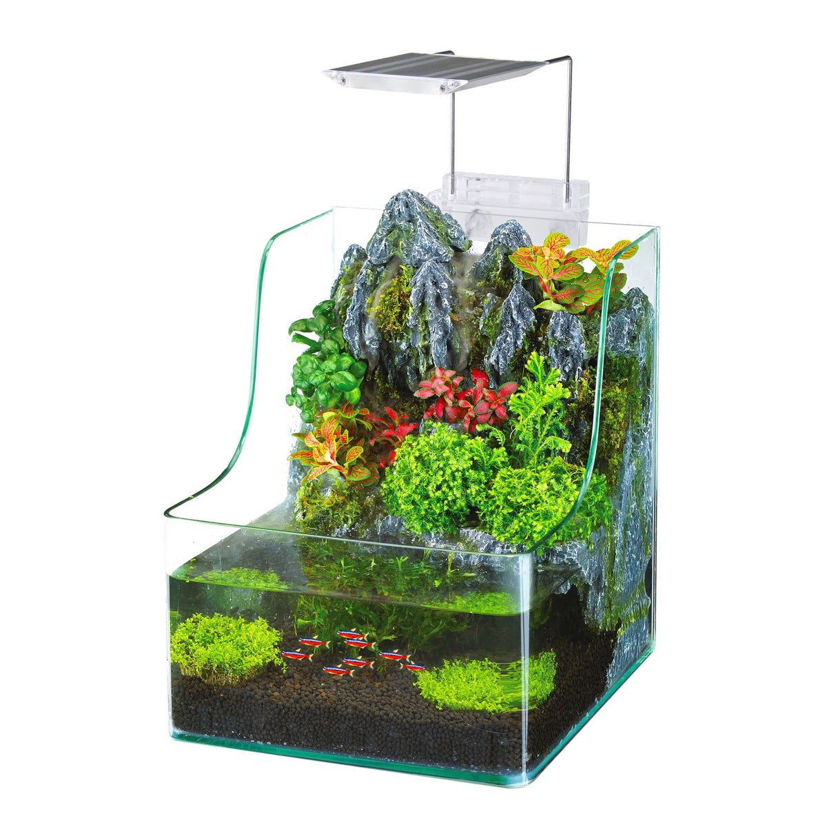 1.85 Gallon Glass Aqua Terrarium Planting Tank