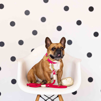 Karla rope dog leash — additional photo 2