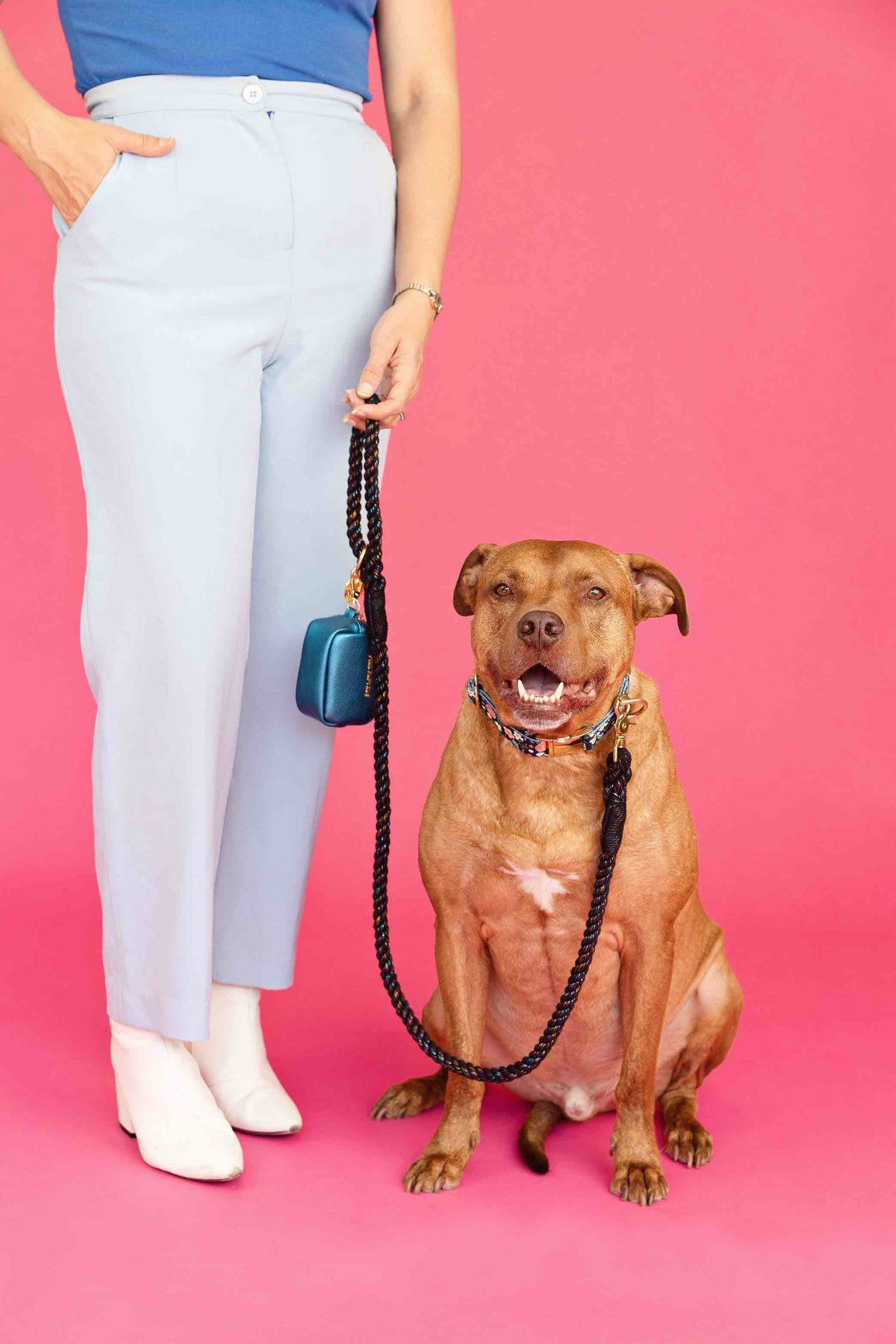 Stella rope dog leash — additional photo 6