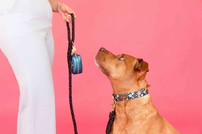Riley dog collar — additional photo 7