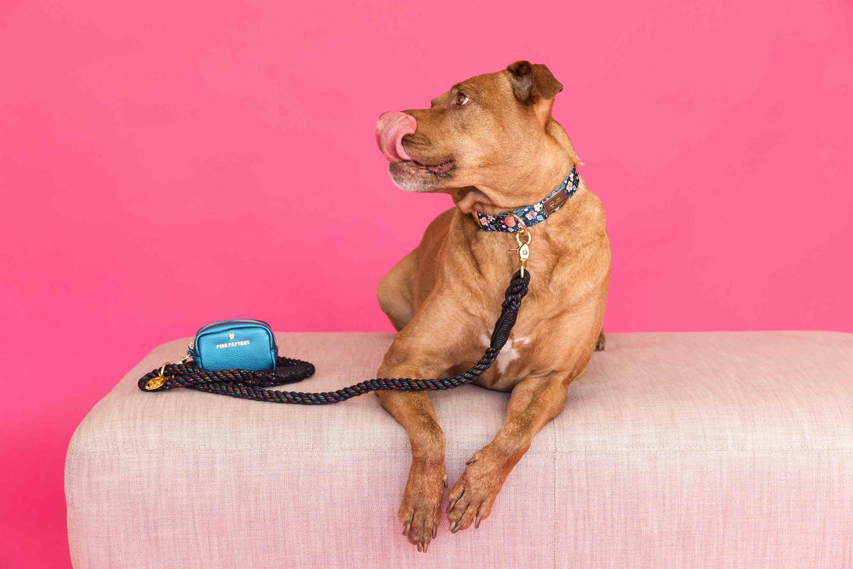 Stella rope dog leash — additional photo 3