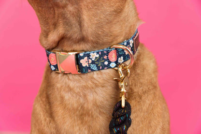 Riley dog collar — additional photo 4