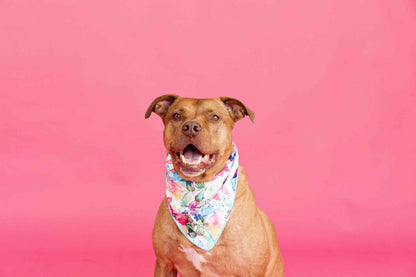 Delilah dog bandana — additional photo 2