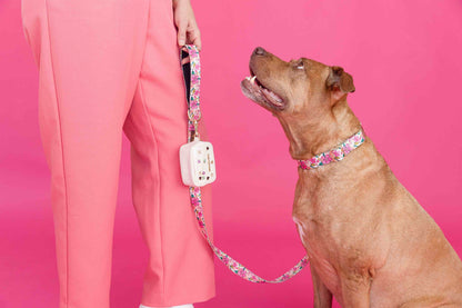 Gianna dog collar — additional photo 3