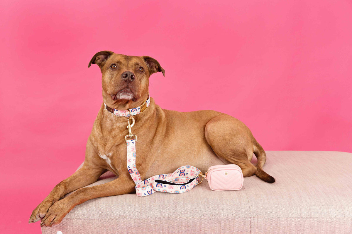 Kylie treat pouch and poop bag holder — additional photo 4