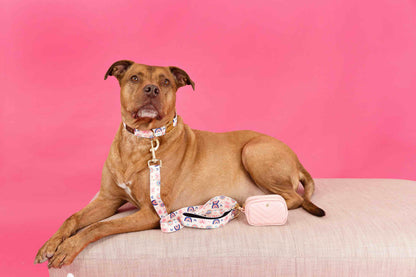Clarke dog leash — additional photo 3