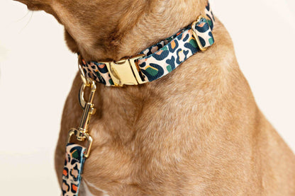 Beckett dog collar — additional photo 4