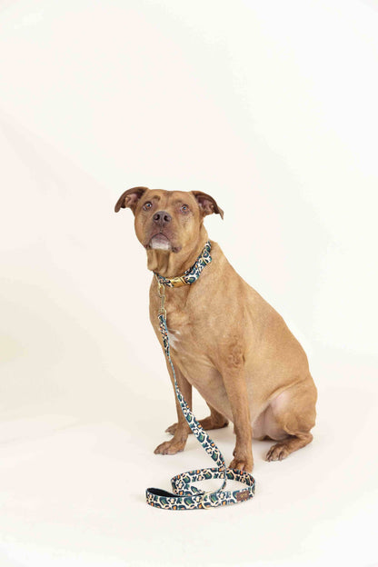 Beckett dog leash — additional photo 5