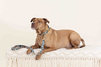 Beckett dog leash — additional photo 2