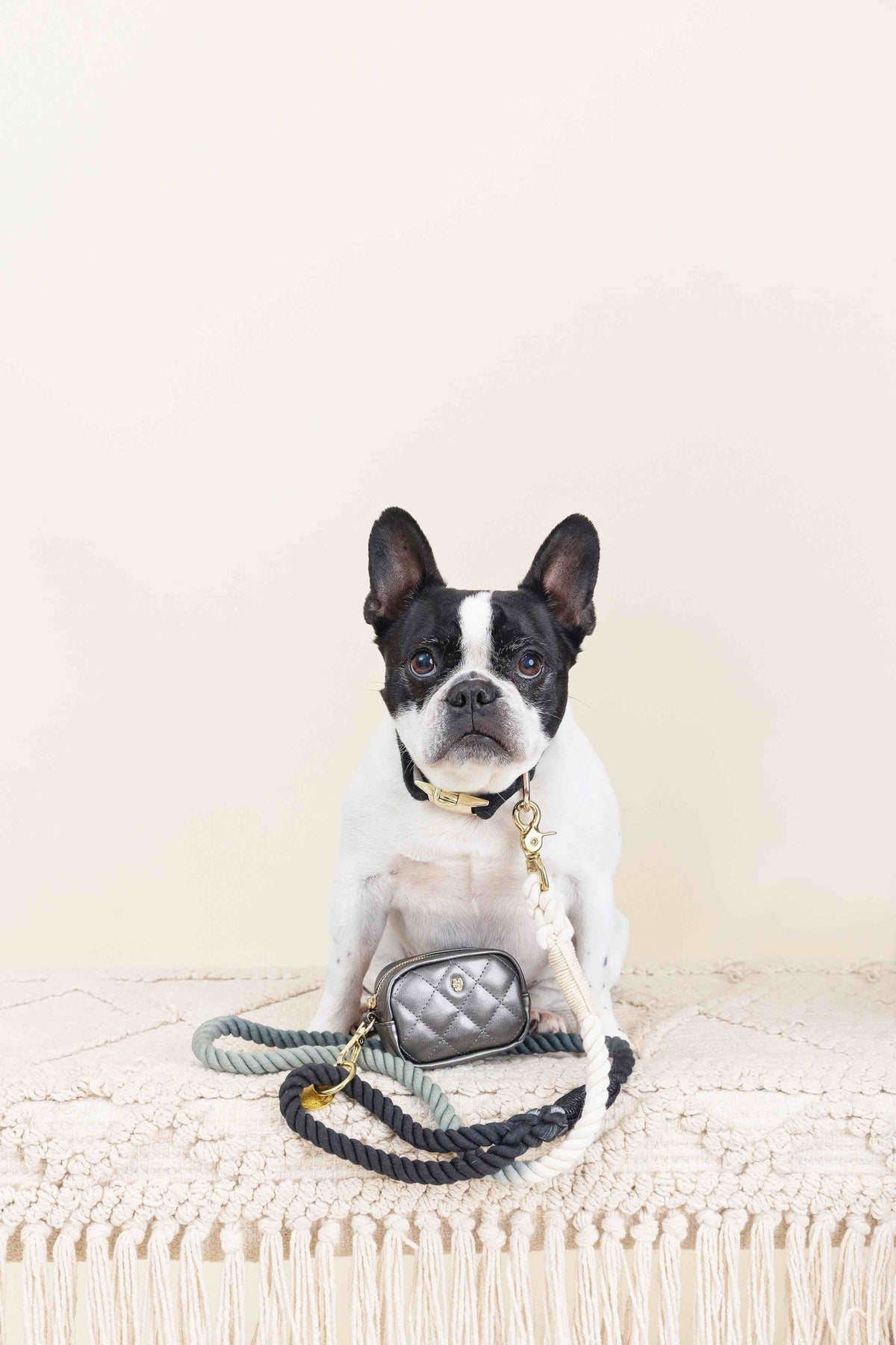 Cairo rope dog leash — additional photo 5