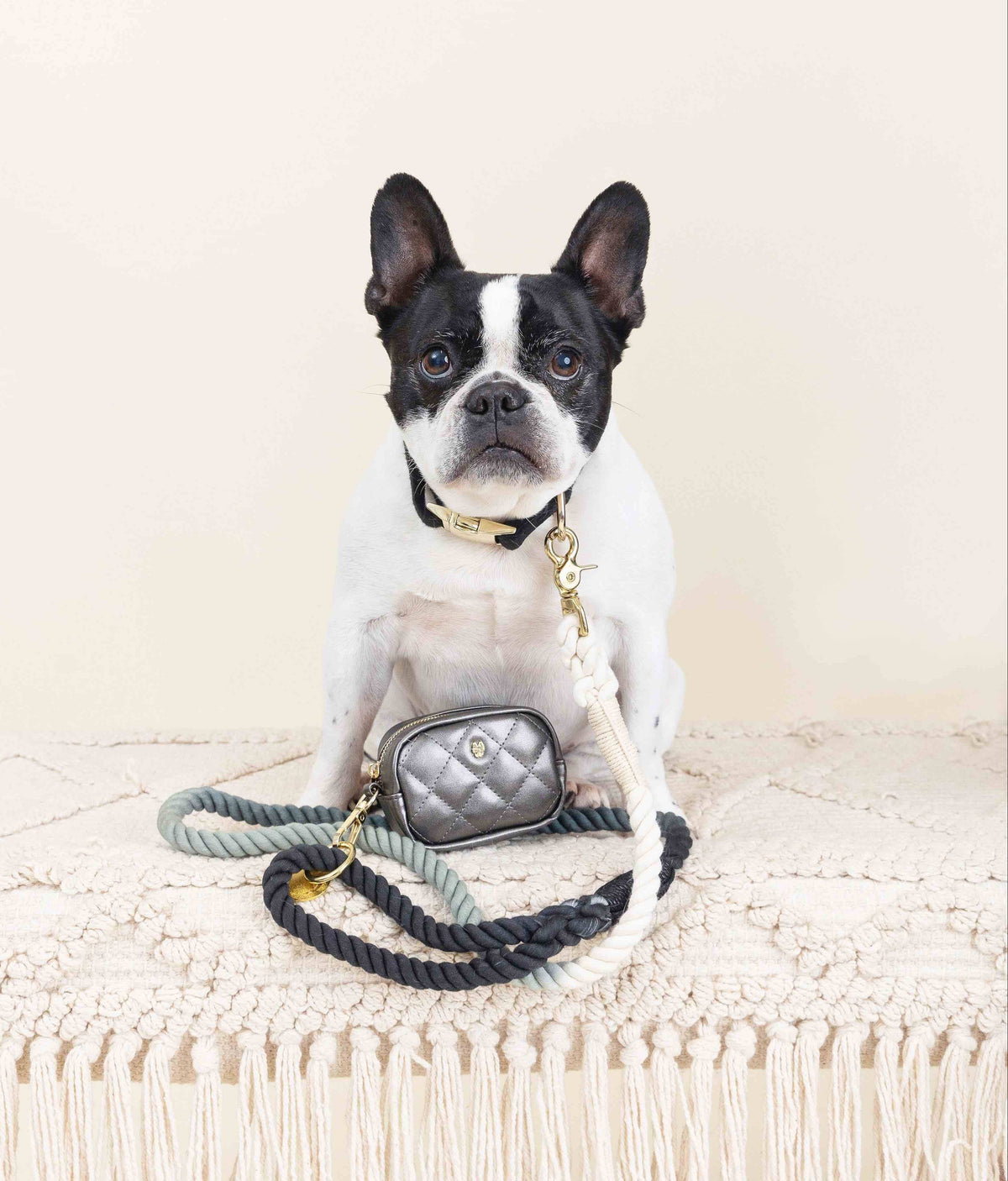 Melissa treat pouch and poop bag holder — additional photo 4