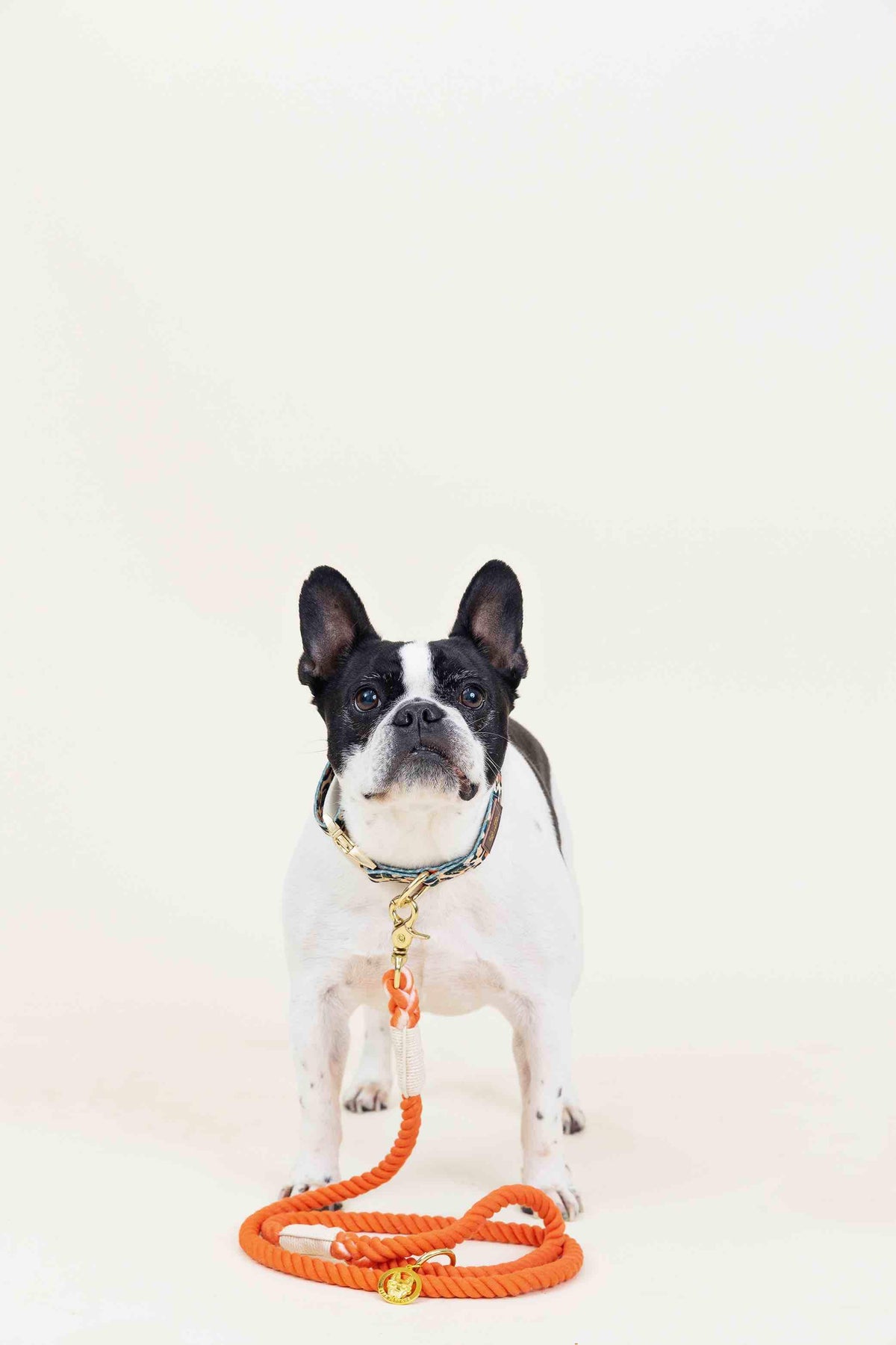 Cora rope dog leash — additional photo 2