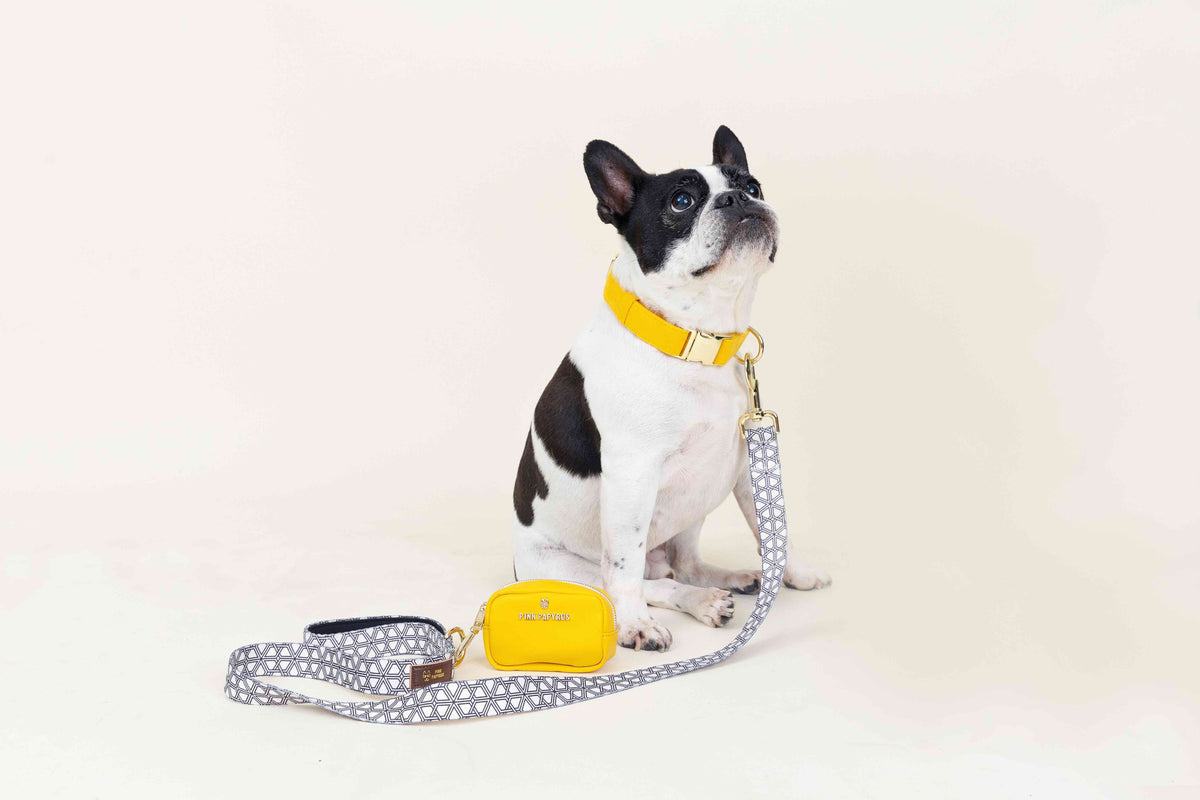 Avery dog leash — additional photo 5