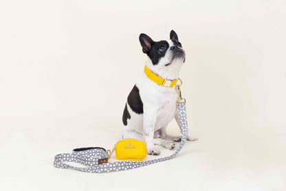Avery dog leash — additional photo 5