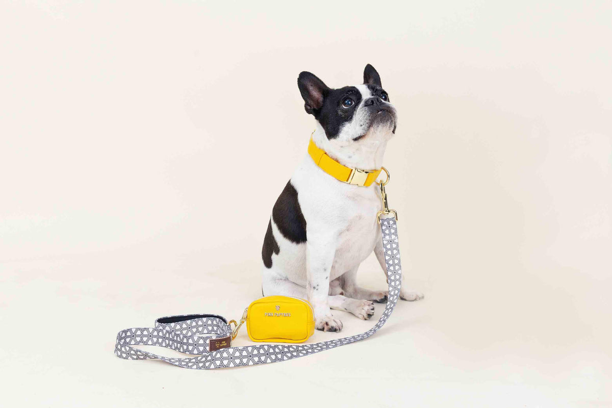 Colie treat pouch and poop bag holder — additional photo 7