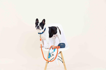 Reese dog bandana — additional photo 3