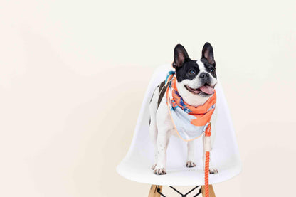 Reese dog bandana — additional photo 2