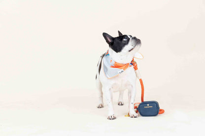 Reagan treat pouch and poop bag holder — additional photo 6