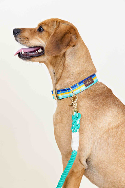 Ariel rope dog leash — additional photo 5