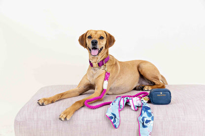 Eden dog bandana — additional photo 3