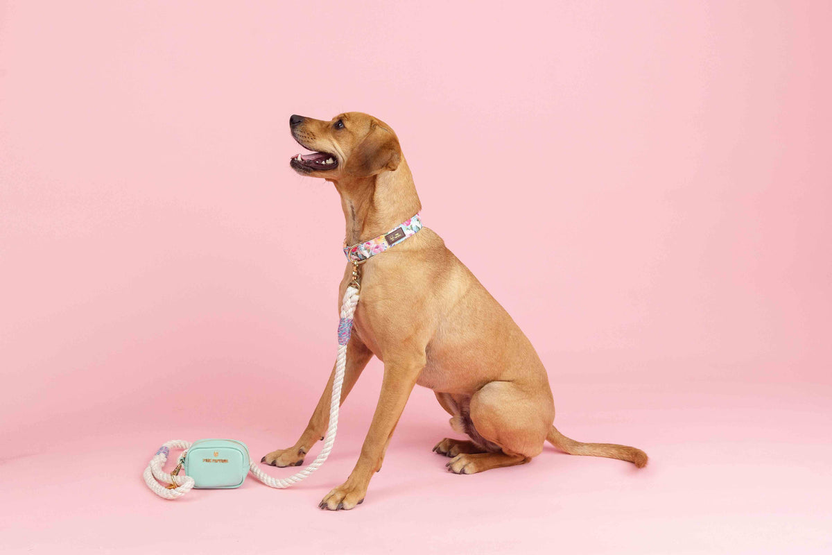 Leilani treat pouch and poop bag holder — additional photo 4