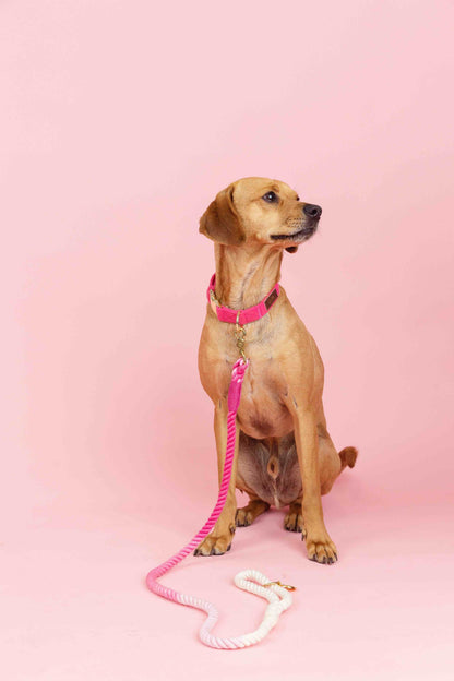 Maggie rope dog leash — additional photo 6