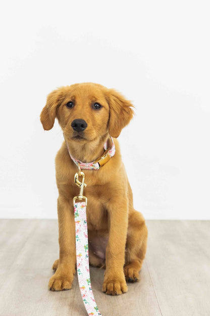 Isabella dog leash — additional photo 2