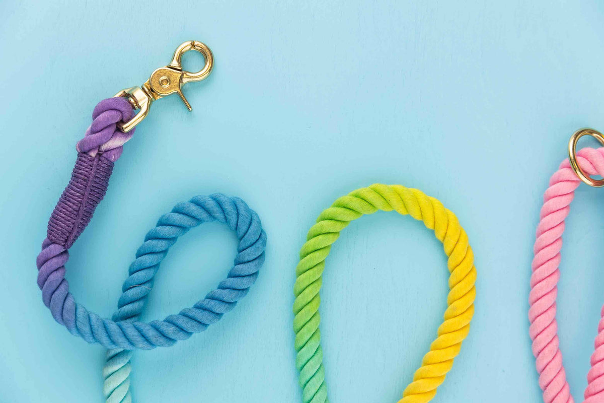 Nola rope dog leash — additional photo 6