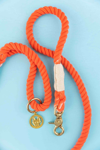 Cora rope dog leash — additional photo 5