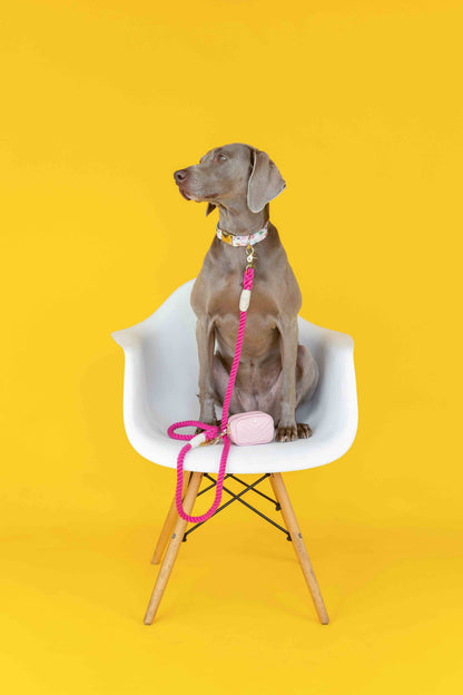 Kylie treat pouch and poop bag holder — additional photo 6